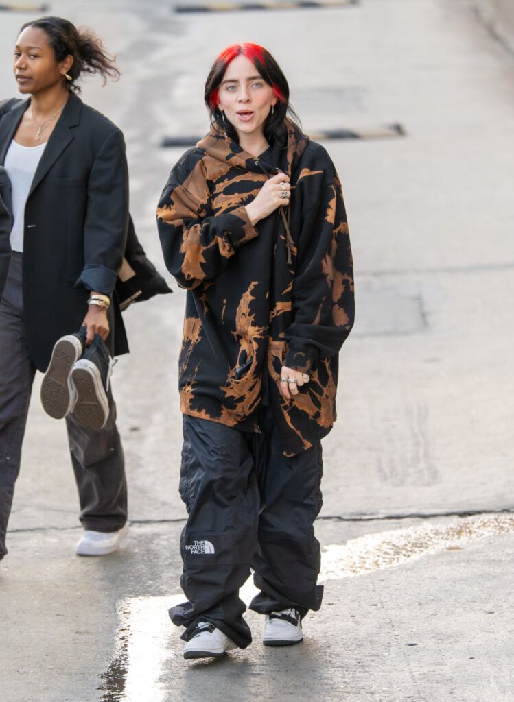 Billie Eilish in pantaloni outdoor targati The North Face